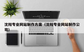 青州沈阳专业网站制作方案（沈阳专业网站制作公司）